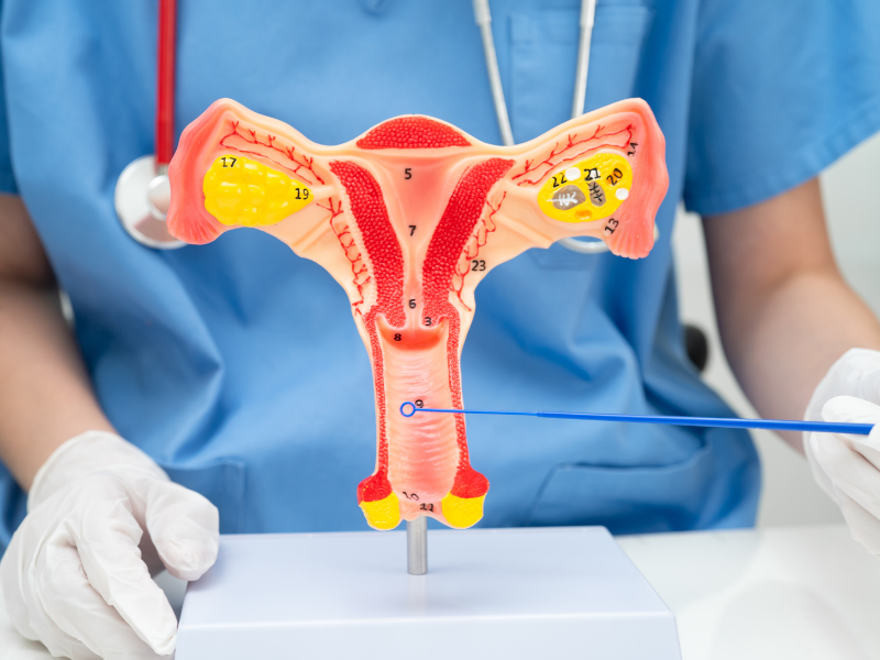 Tekrarlayan Vajinal Enfeksiyonlar