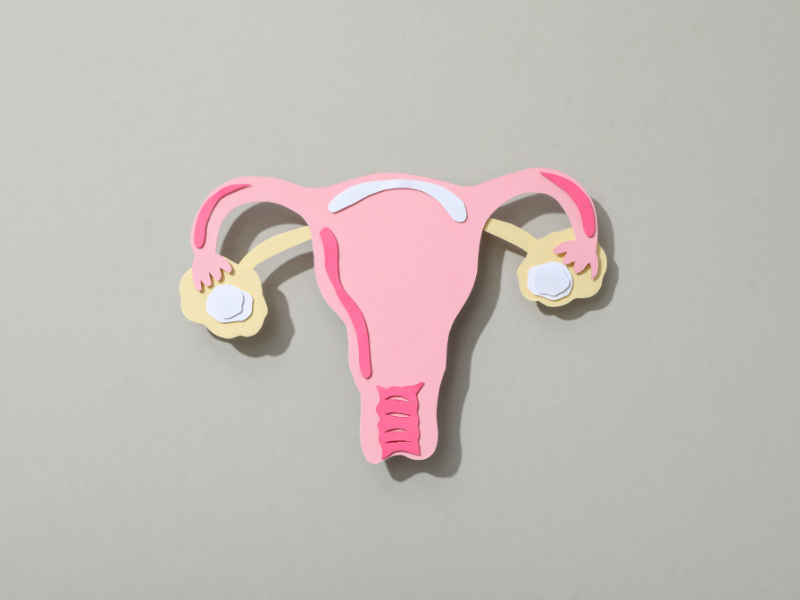 Rahim Ağzı Yaraları ve Hastalıkları